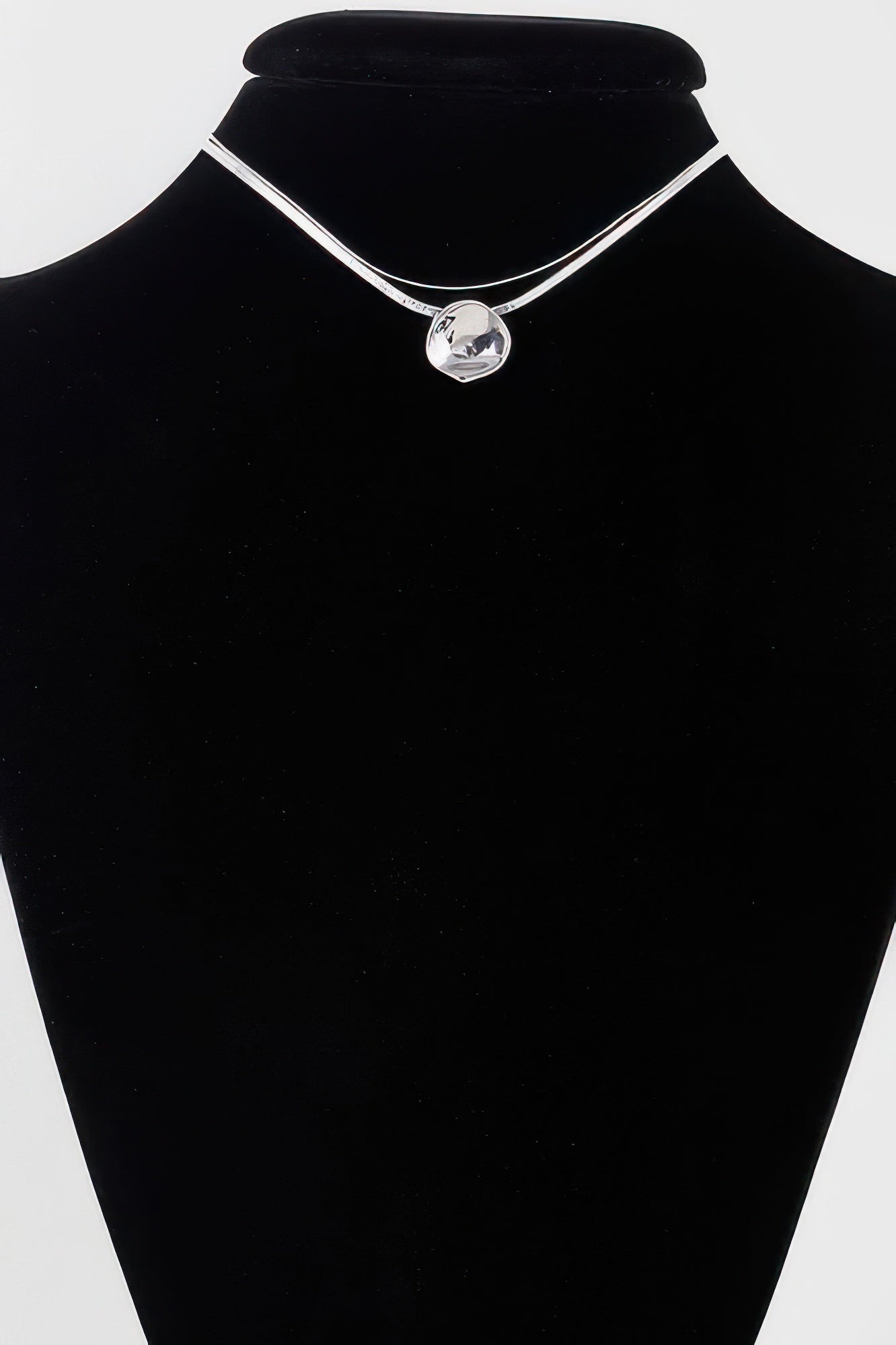 Reflection Plate Snake Chain Necklace - Goddess Vibes